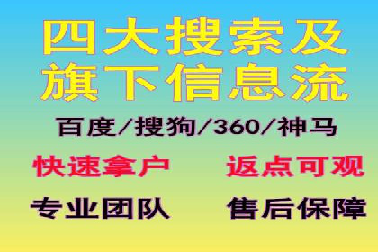 SEM推广实战：案例分析及效果评估